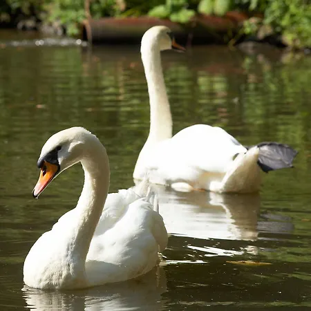 Heidsmuehle Szálloda 3*
