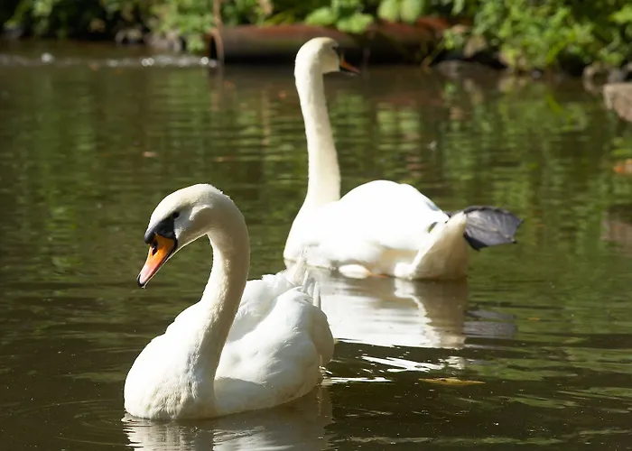 Heidsmuehle Hotel 3*